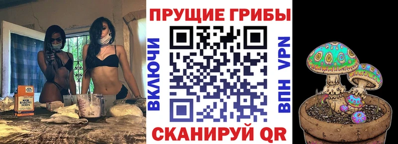 Купить закладки  Среднеколымск  Галлюциногенные грибы GOLDEN TEACHER 